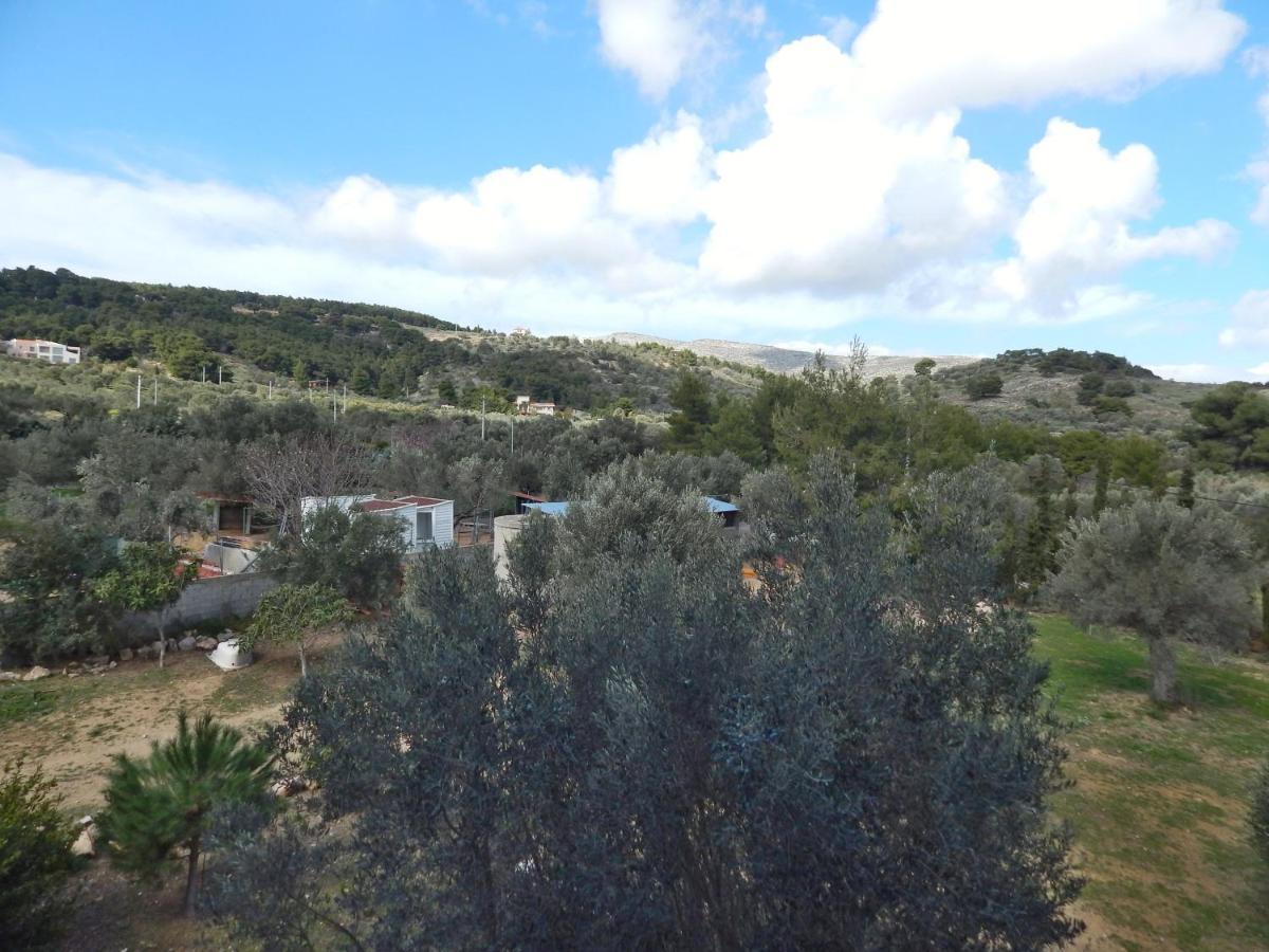 Οδυσσεια, Κοντά Σε Αεροδρόμιο, Λιμάνια Και Θάλασσες Apartment Keratea Ngoại thất bức ảnh