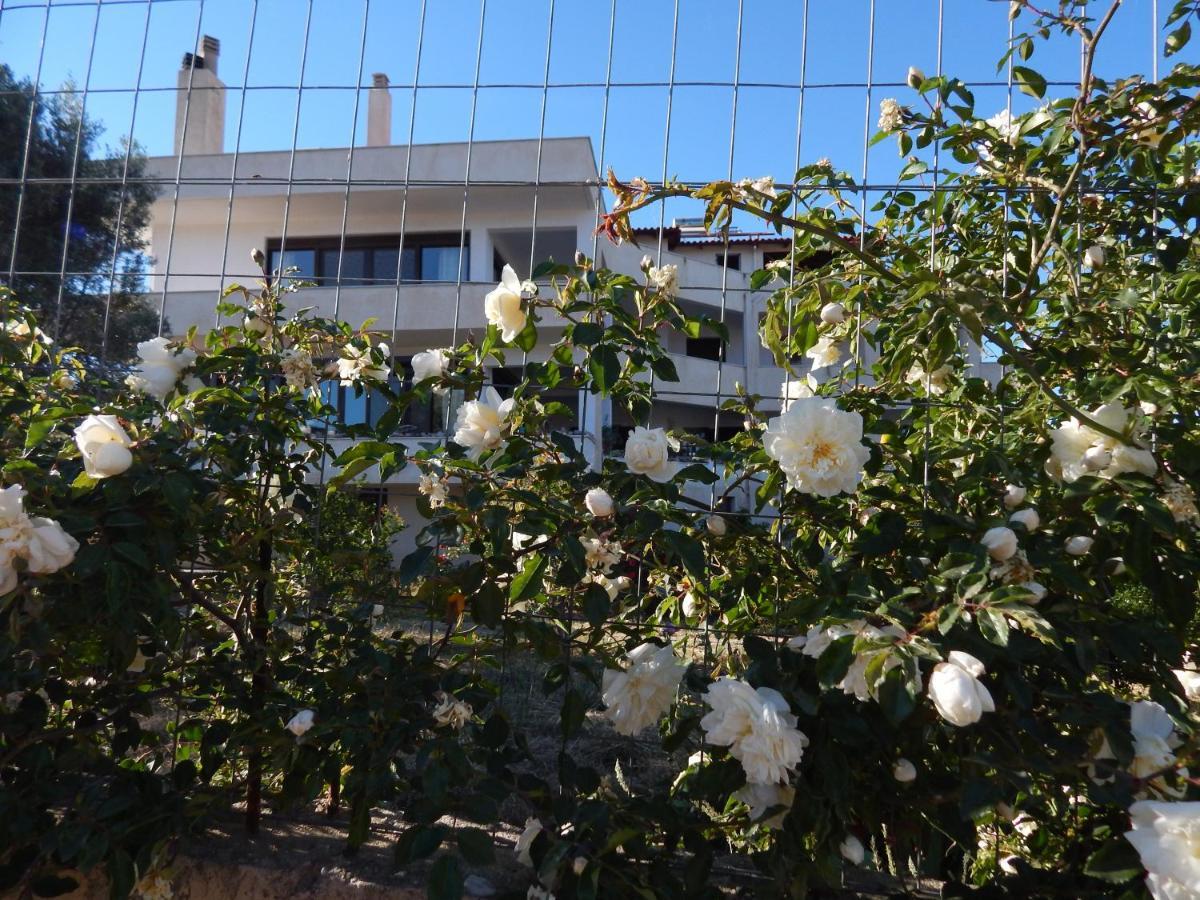 Οδυσσεια, Κοντά Σε Αεροδρόμιο, Λιμάνια Και Θάλασσες Apartment Keratea Ngoại thất bức ảnh