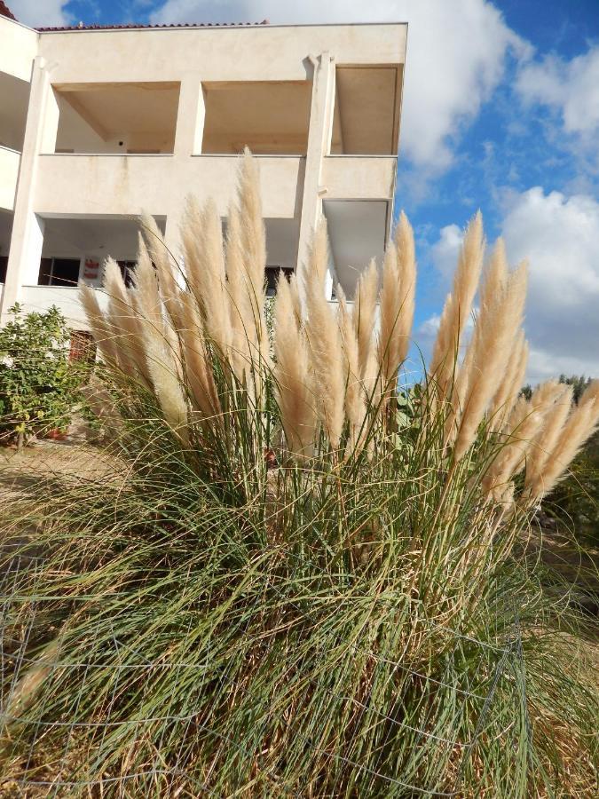 Οδυσσεια, Κοντά Σε Αεροδρόμιο, Λιμάνια Και Θάλασσες Apartment Keratea Ngoại thất bức ảnh