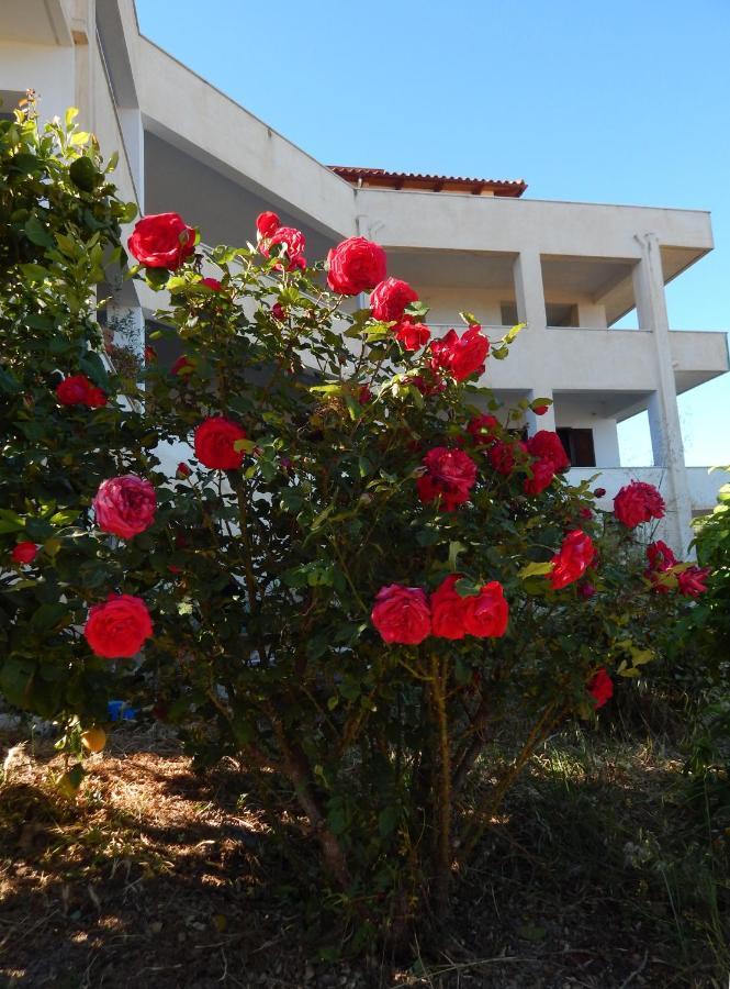 Οδυσσεια, Κοντά Σε Αεροδρόμιο, Λιμάνια Και Θάλασσες Apartment Keratea Ngoại thất bức ảnh