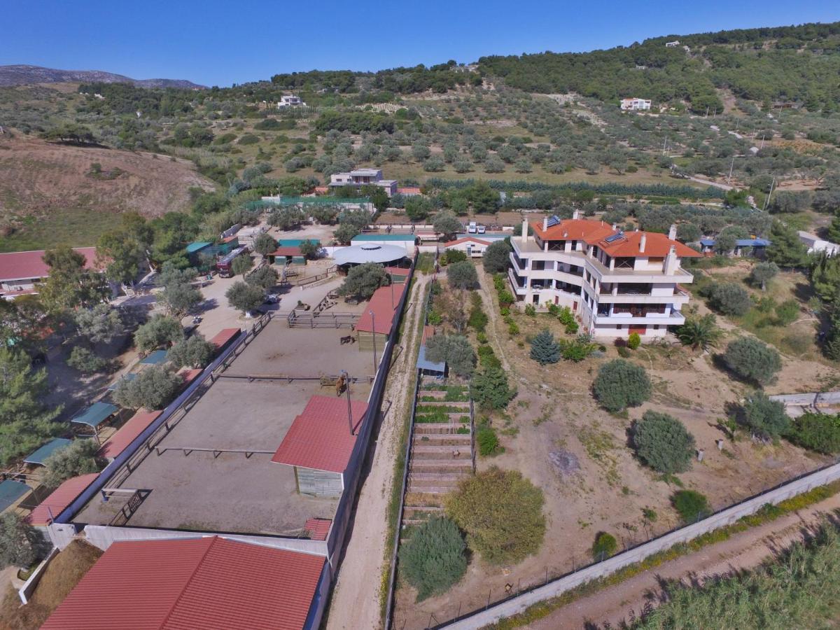 Οδυσσεια, Κοντά Σε Αεροδρόμιο, Λιμάνια Και Θάλασσες Apartment Keratea Ngoại thất bức ảnh