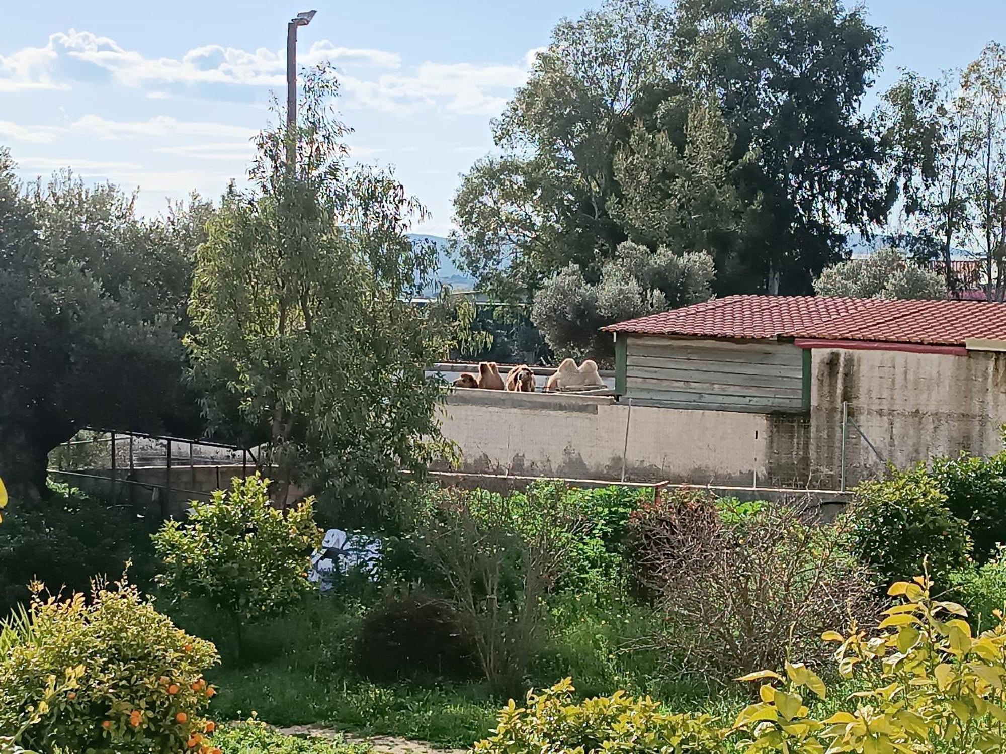 Οδυσσεια, Κοντά Σε Αεροδρόμιο, Λιμάνια Και Θάλασσες Apartment Keratea Ngoại thất bức ảnh